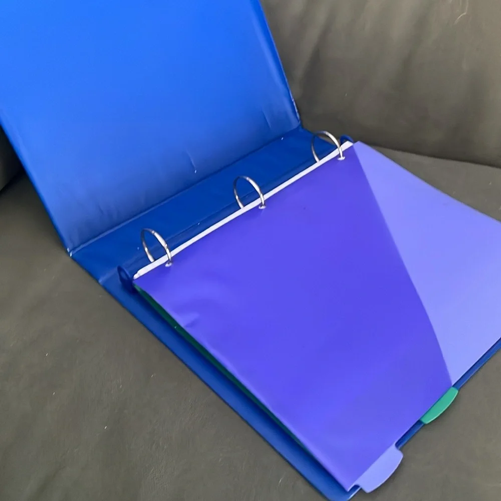 Blue and Purple File Organizer